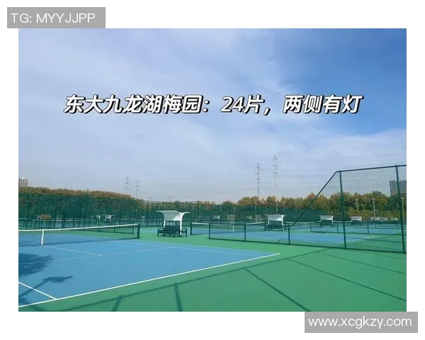 南京网球队荣登全国网球技术排行榜第三名展现实力与潜力